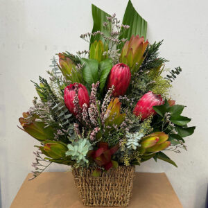 Natives In Basket